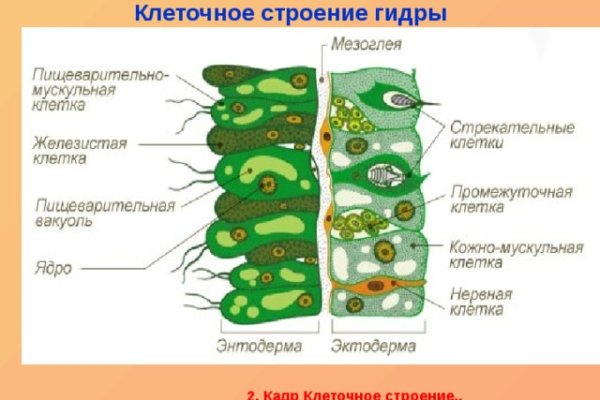 Что такое кракен шоп